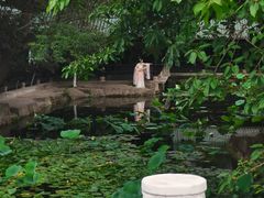 -桂湖森林公园