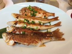 -金苑海鲜酒家(来魅力店)