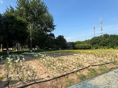 -中国农业博物馆