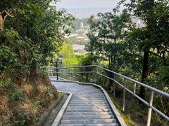 -板樟山森林公园