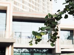 -Bracket Coffee(银河SOHO店)