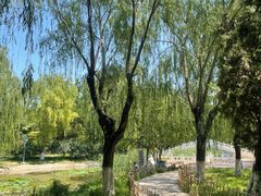 -丰台科技园生态主题公园