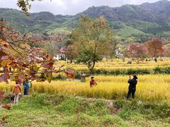 -塔川景区