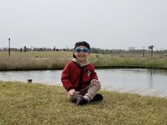 -春花秋色城市公园