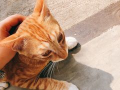 -NOTOOCAFE不二咖啡馆(岩前店)