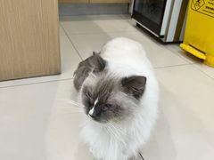 -美迦爱-牙专科·兔科·骨科诊疗中心(北苑店)