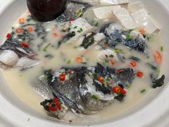 -老傅家湘潭水煮活鱼店(众一国际店)