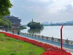 -眉山湿地公园(东坡区)