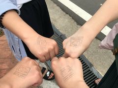 -圣淘沙天际线斜坡滑车