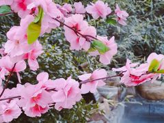 -国御温泉度假小镇