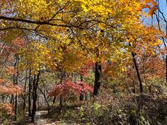 -玉渡山自然风景区