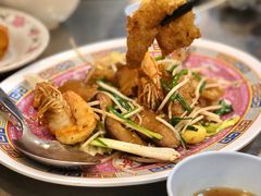 -大中鱼翅 Taitong Shark Fin