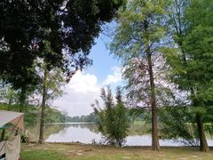 -南宁良凤江国家森林公园