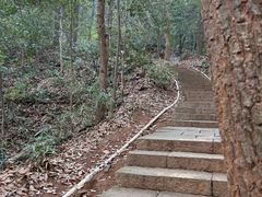 -九曜山