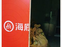 -海底捞火锅(河东万达广场店)