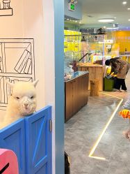-神奇动物撸宠馆·羊驼·小浣熊·异宠(豫园店)
