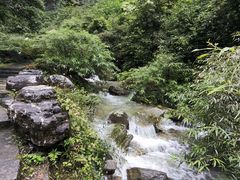 -矮寨·十八洞·德夯大峡谷景区
