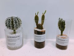 -风甜日暖·星座主题甜点(东二环泰禾店)