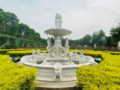-百万葵园