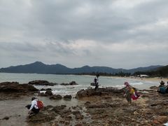 -西涌国际滨海旅游区