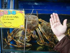 -蚝专家(北滘店)