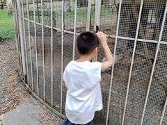 -福建鲤鱼洲酒店