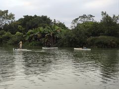 -小洲村