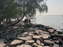 -宝安西湾红树林湿地公园