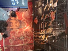 -好彩猪肚鸡(正弘城店)