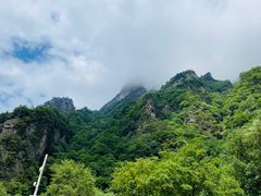 -青峰峡国家森林公园