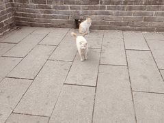 -八达岭长城