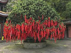 -峨眉山报国寺