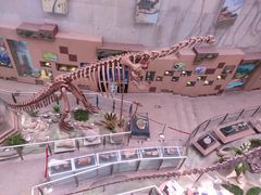 -陕西自然博物馆