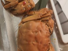 -菊上•尊品料理(蚌埠银泰店)