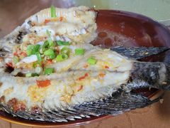 -晓雯人家