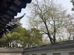 -泰州凤城河风景区-泰山公园