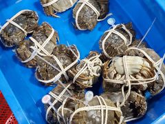 -乡乐园蟹庄·阳澄湖农家乐