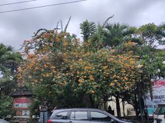 -乌布德传统市场