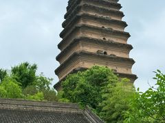 -中贸广场