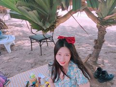 -那琴半岛地质海洋公园