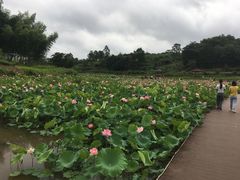 -乌石村