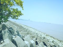 -上海滨江森林公园
