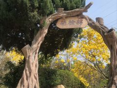 -狐尾山公园