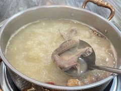 五指毛桃药膳鸽-鸽鸟轩(石岐店)
