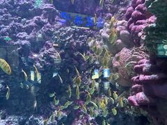 -海合安青岛极地海洋公园