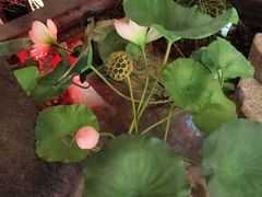 -福满我家大碗厨·湘菜(上海大厦店)