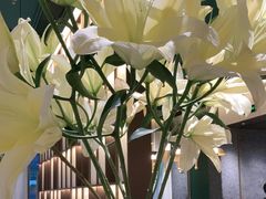 -菉雅苑·湛江菜(前海卓越INTOWN店)