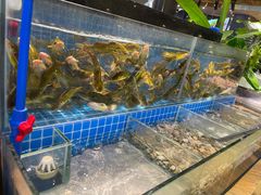 水产区-鹿客臻鲜海鲜自助餐厅(永旺店)