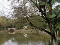 -瀛洲公园
