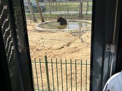 -秦皇岛野生动物园